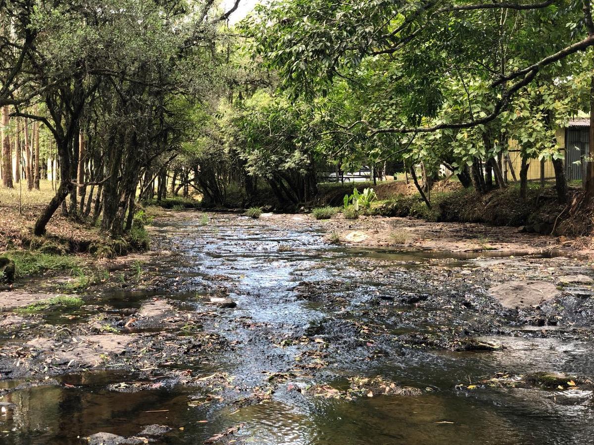 Cabana No Campo Caminho Do Salto Ventoso Farroupilha Eksteriør bilde